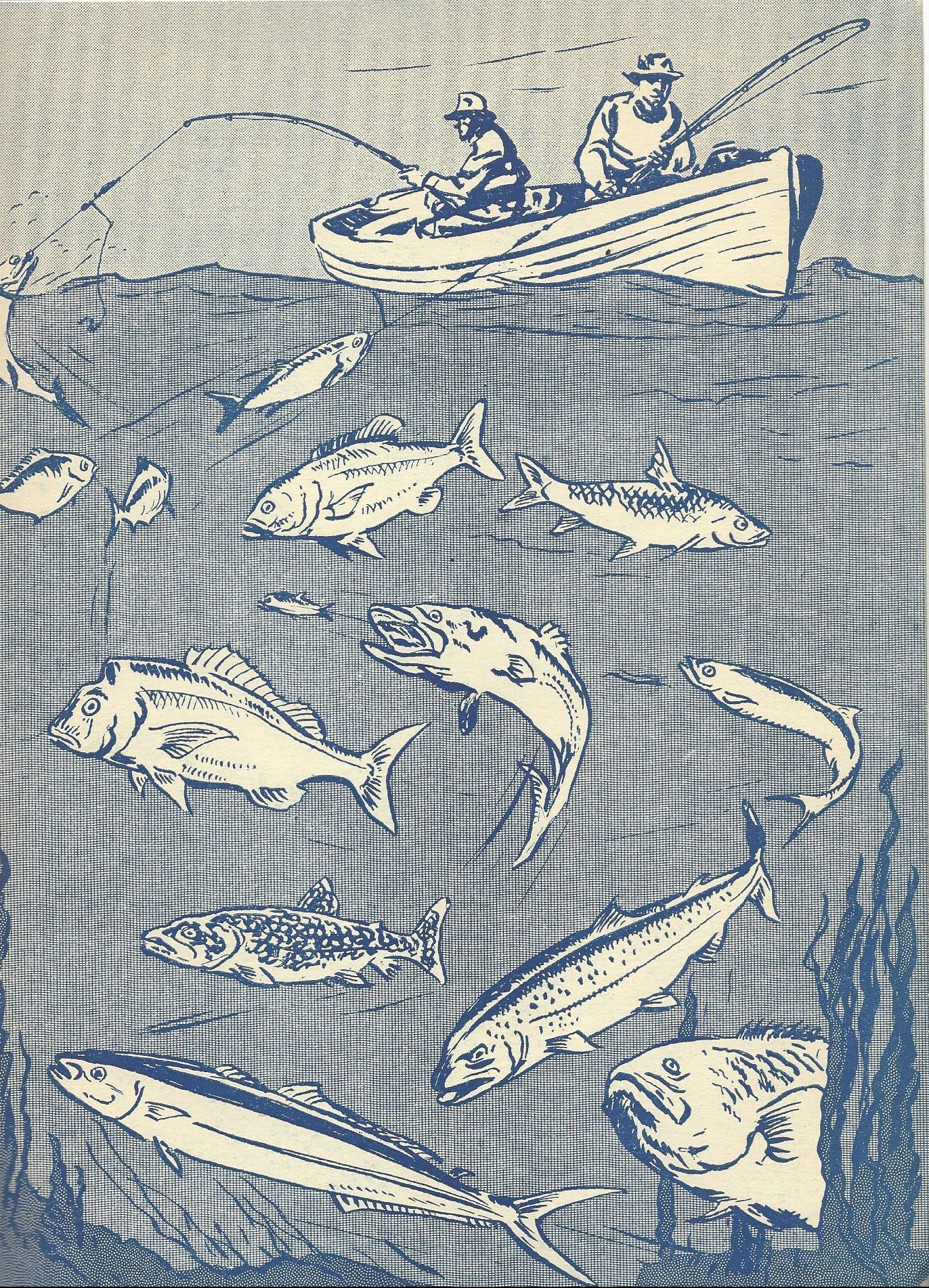 Illustration of two individuals in a boat with fishing poles; multiple varieties of fish are pictured in the water below the boat.