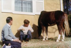 Historical Pets Who Were Great at Working from Home – The JFK Library ...